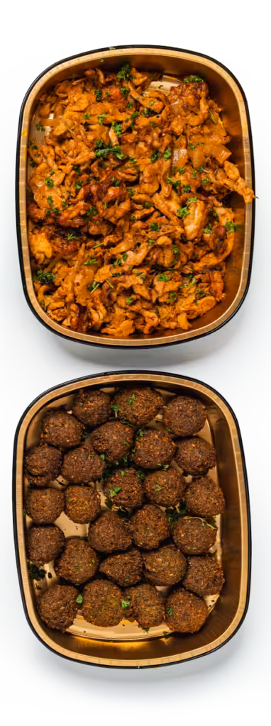 Two dishes chicken and meat balls